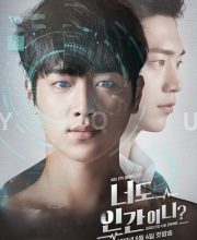 Are You Human Too?