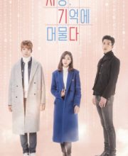Love In Memory 2018