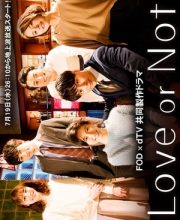 Love or Not