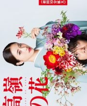 Takane no Hana (Born to be a Flower)