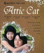 Attic Cat