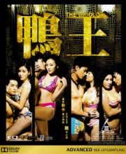 The Gigolo
