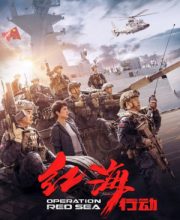 Operation Red Sea