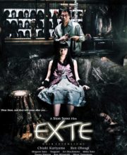 Exte: Hair Extensions