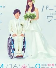 Perfect World (Pafekuto Warudo)