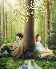 A Journey to Meet Love
