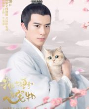 I’m a Pet at Dali Temple