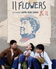 11 Flowers