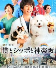 Sakanoue Animal Clinic Story