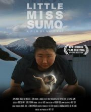Little Miss Sumo