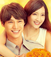 Marigold in 4 minutes (4-punkan no Marigold)