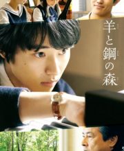 The Forest of Wool and Steel