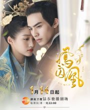 Untouchable Lovers
