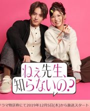 Nee Sensei, Shiranai No?