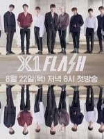 X1 Flash