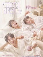 Cat’s Bar (2019)