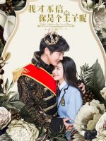 I Don’t Believe You’re a Prince (2020)