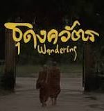 Wandering