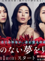 Kagi no nai Yume wo Miru (2013)