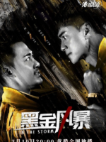 In The Storm (2022)