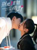 Destined to Meet You (2022)