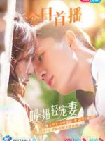Nuan Hun Qing Chong Qi Season 2 (2022)