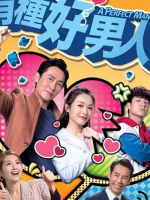 The Perfect Man (2022)