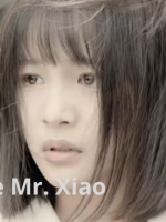 Goodbye Mr. Xiao (2023)