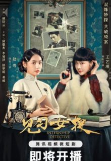 Internship Detective (2023)