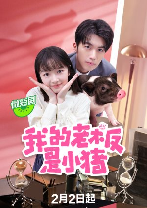 My Piggy Boss (2024) My Piggy Boss (2024)