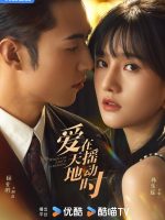 Undercover Affair (2024) Undercover Affair (2024)