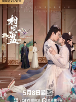 Lovesickness (2024) Lovesickness (2024)