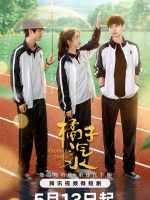 Orange Soda (2024) Orange Soda (2024)