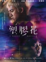 A Perfect Blossom (2024)
