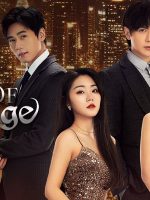 Veil of Revenge (2024)