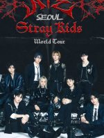 Beyond Live — Stray Kids World Tour dominATE in SEOUL (2024)