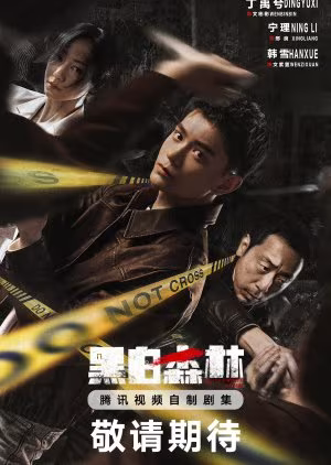 Black and White Forest (2024) Black and White Forest (2024)