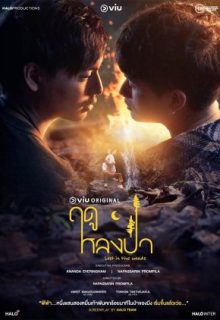 Lost in the Woods (2025)