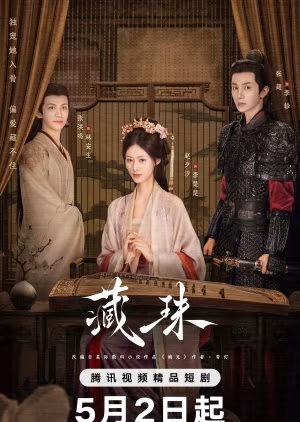 Hidden Love (2025) Hidden Love (2025)