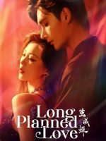 Long Planned Love (2025)